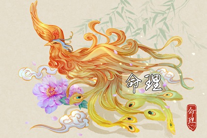 择吉老黄历皇历 择吉老皇历 择吉皇历